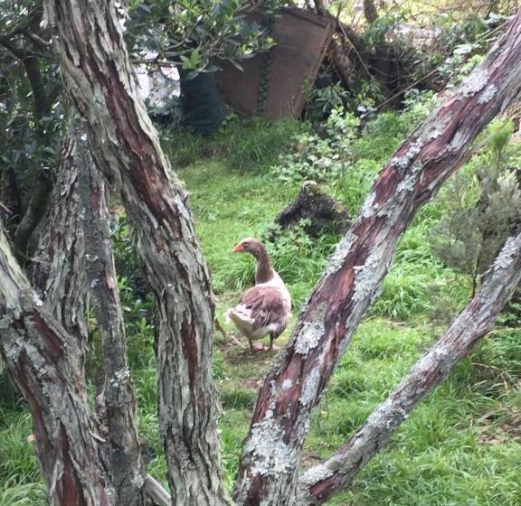 هتل Intact Farm Resort