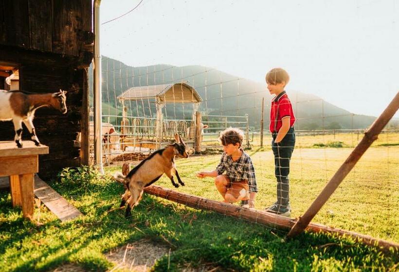 בית מלון כפרי Nagerhof