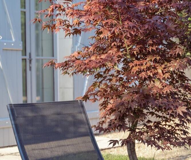 ベッドアンドブレックファースト Le Clos De La Rousselière B And B