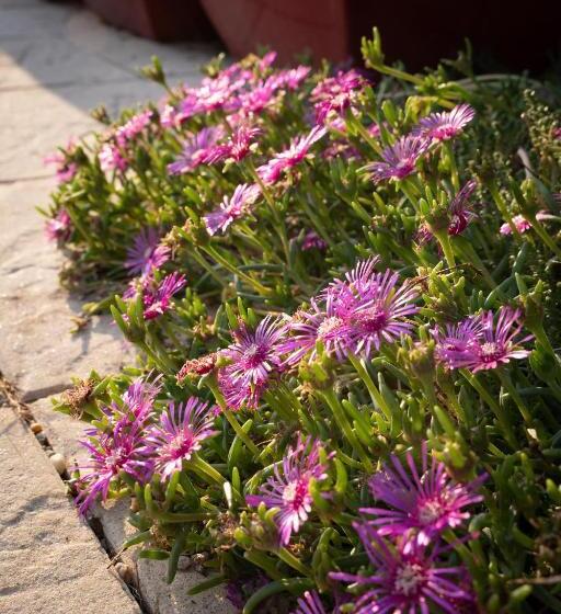 ベッドアンドブレックファースト Le Clos De La Rousselière B And B