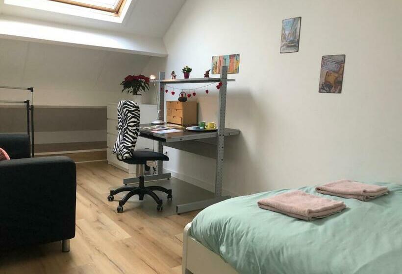 פנסיון African Heritage Tervuren