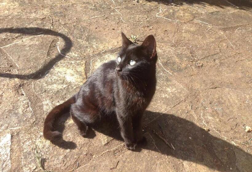 بنسيون As Jarras