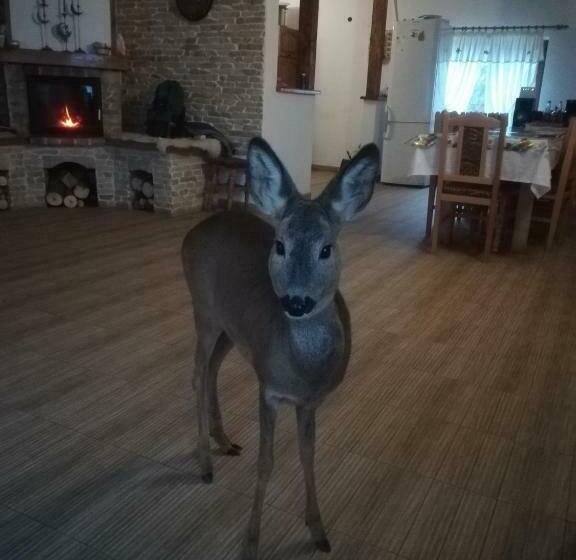 פנסיון Casa Cristalul Muntilor