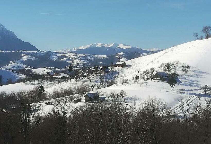 פנסיון Casa Cristalul Muntilor