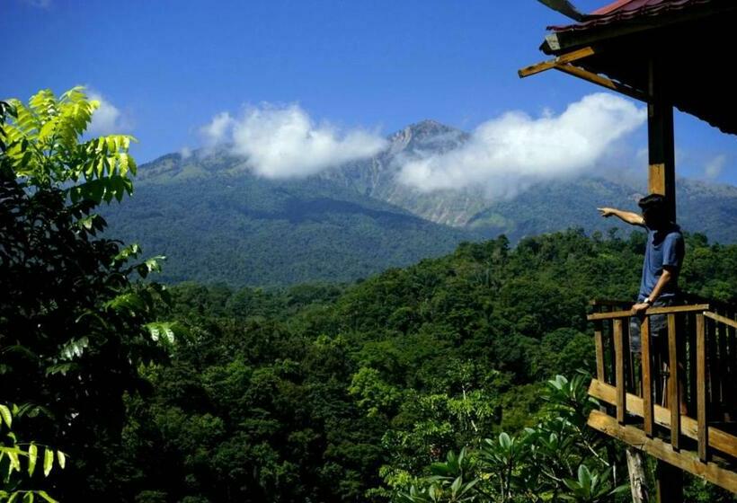 פנסיון Dragonfly Senaru Lodge