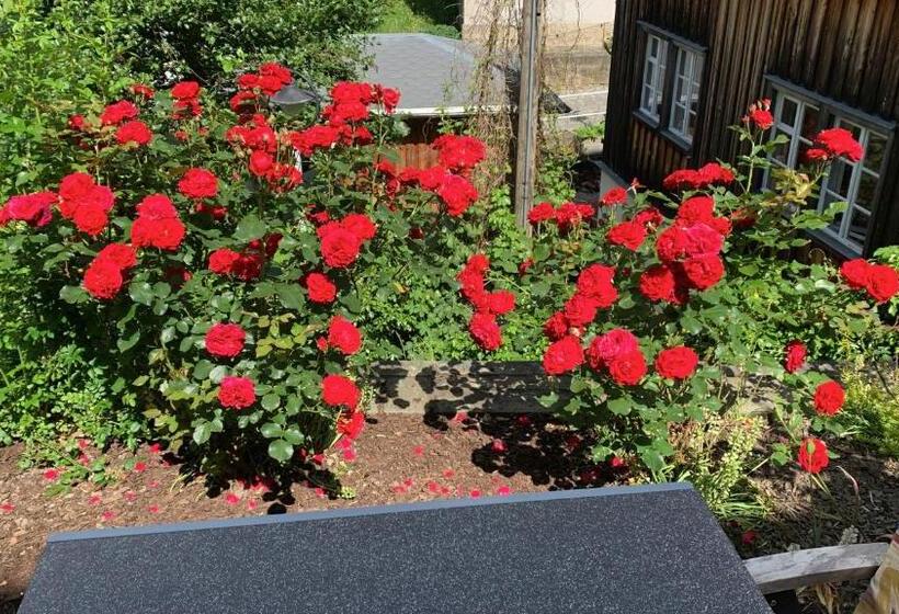 펜션 Haus Bergfriede