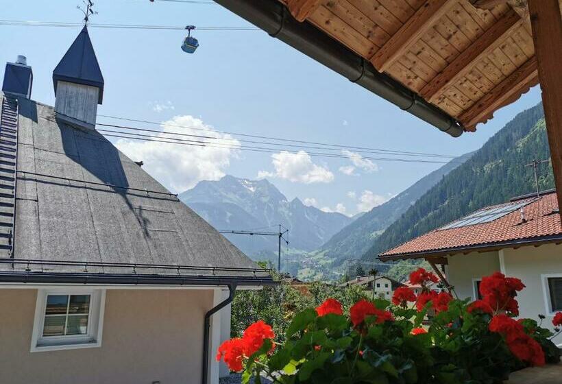 بنسيون Haus Wildauer