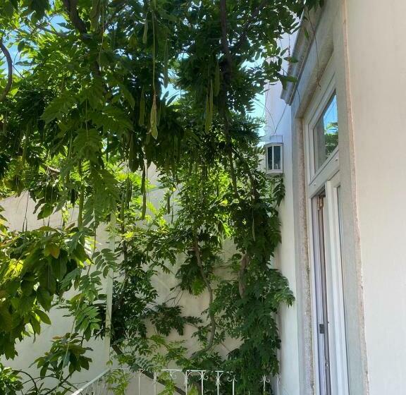 פנסיון Ninho Salino