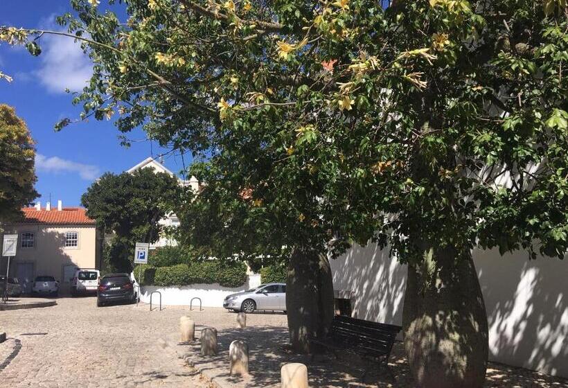 פנסיון Ninho Salino