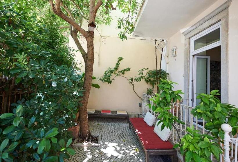 פנסיון Ninho Salino