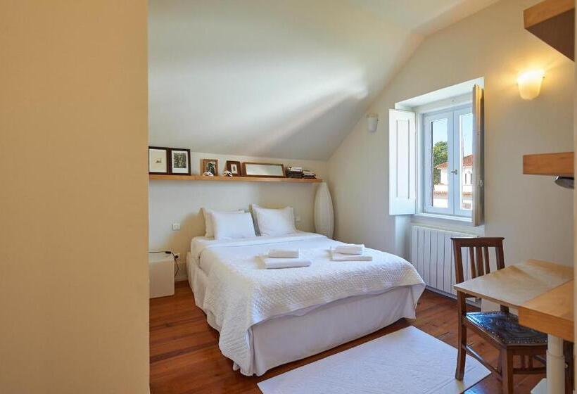 פנסיון Ninho Salino