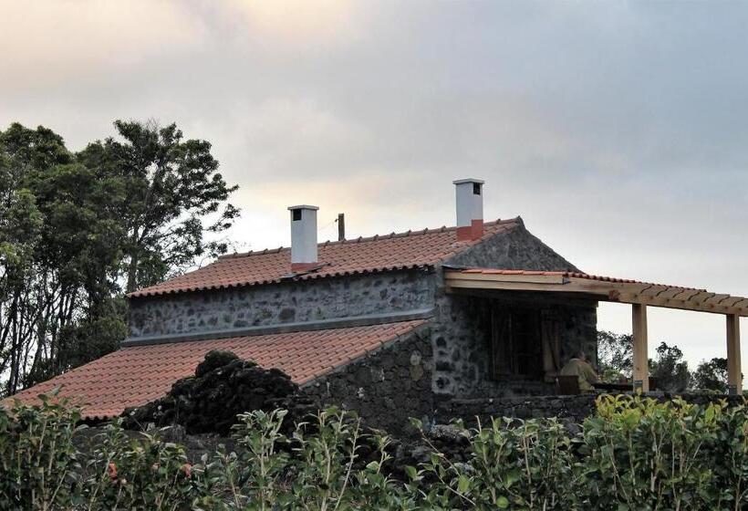 Pensjonat Pico Formoso Vínea Lava Alojamentos Pico