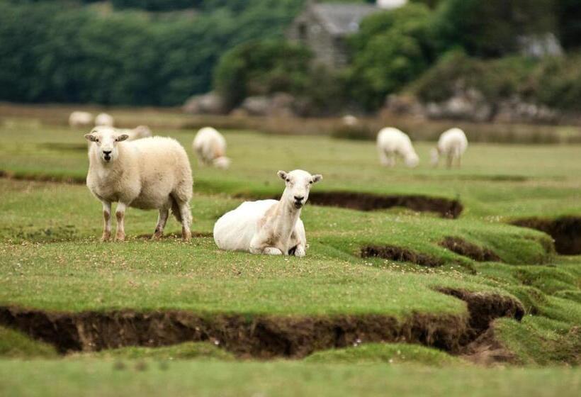 Пансион Taldraeth   Old Vicarage Guest House