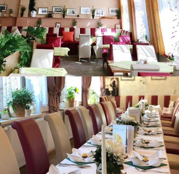 Traditionsgasthaus Goldener Löwe Riesa Restaurant & Pension