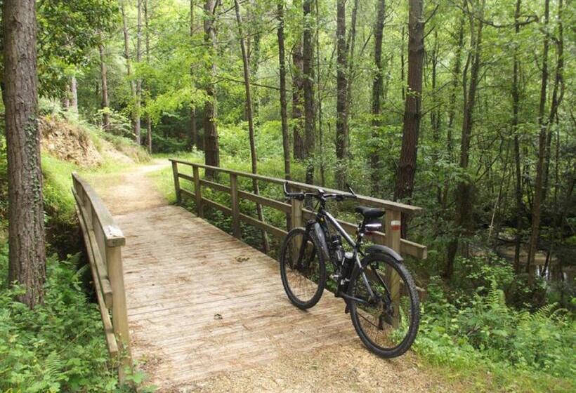 פנסיון Ubilla Aterpetxea