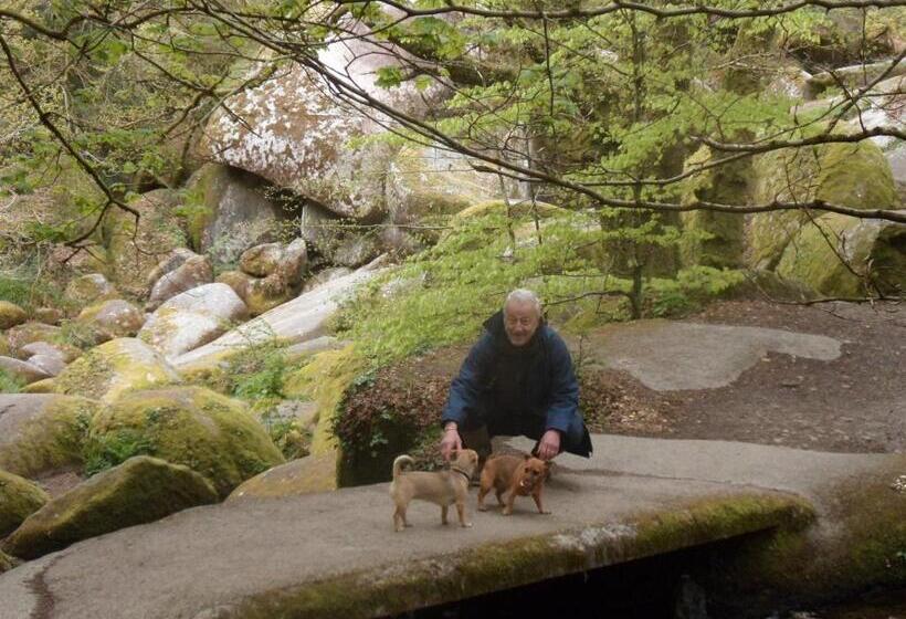 Riverside Bed And Breakfast