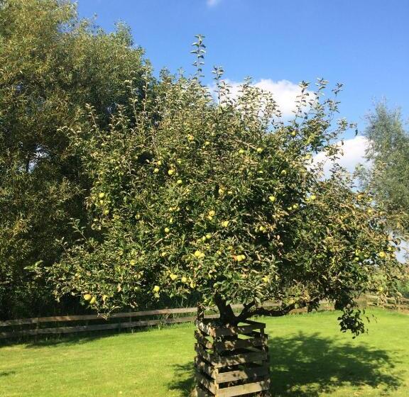 The Black Sheep Hostel