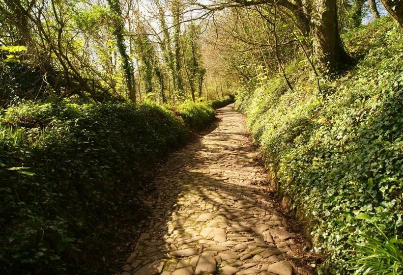 The Old Smithy Bed & Breakfast