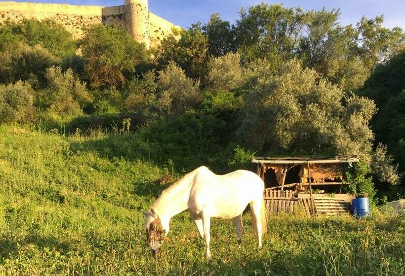 住宿加早餐  Atelier 88