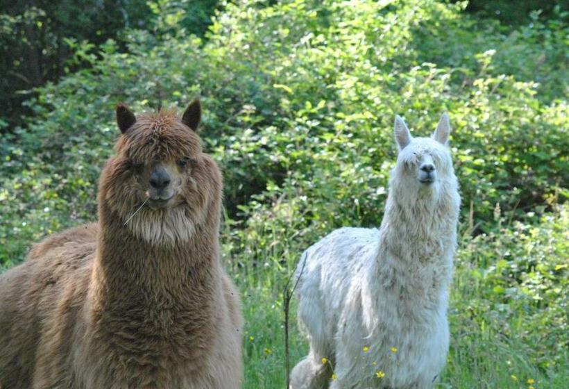 Bed and Breakfast Domaine De La Poyat