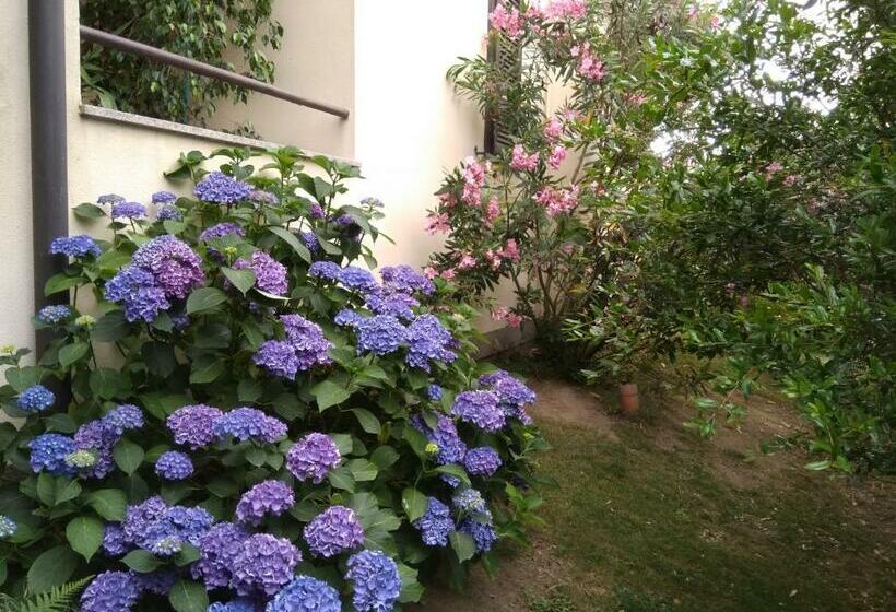 B&b Il Glicine Di Basiglio