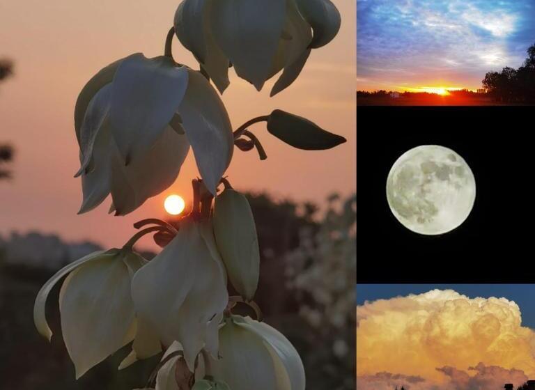 مبيت وإفطار Agriturismo Honey Farm