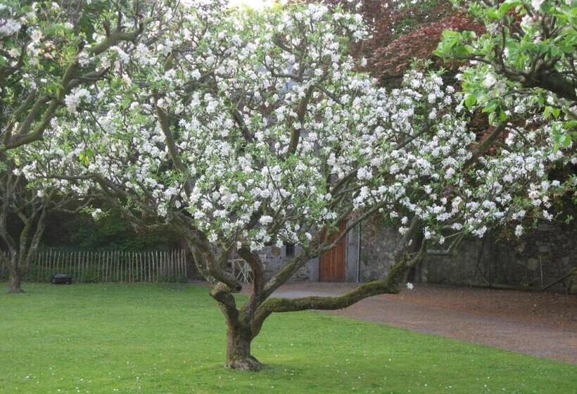 住宿加早餐  Chambre D Hôtes Les Augustins   Parking Sécurisé   Borne De Recharge
