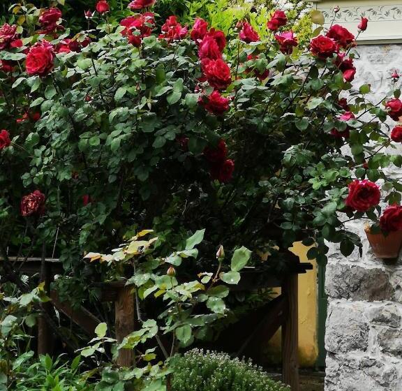 مبيت وإفطار East Wind