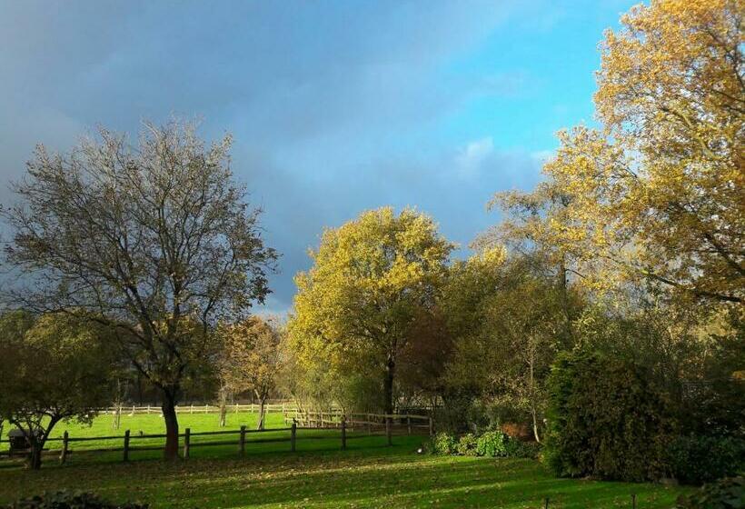 ベッドアンドブレックファースト Het Geheim Van Merselo