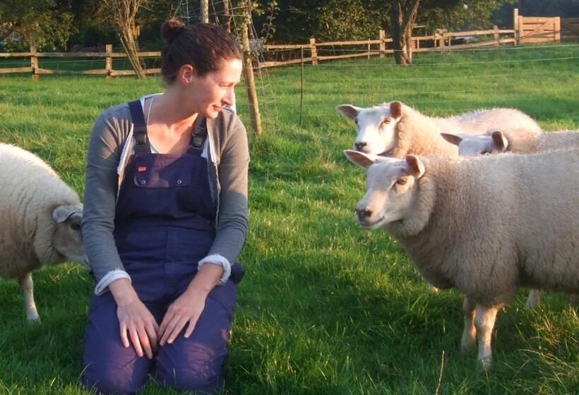 צימר Het Geheim Van Merselo