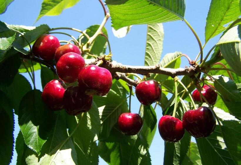 צימר I Tre Ciliegi