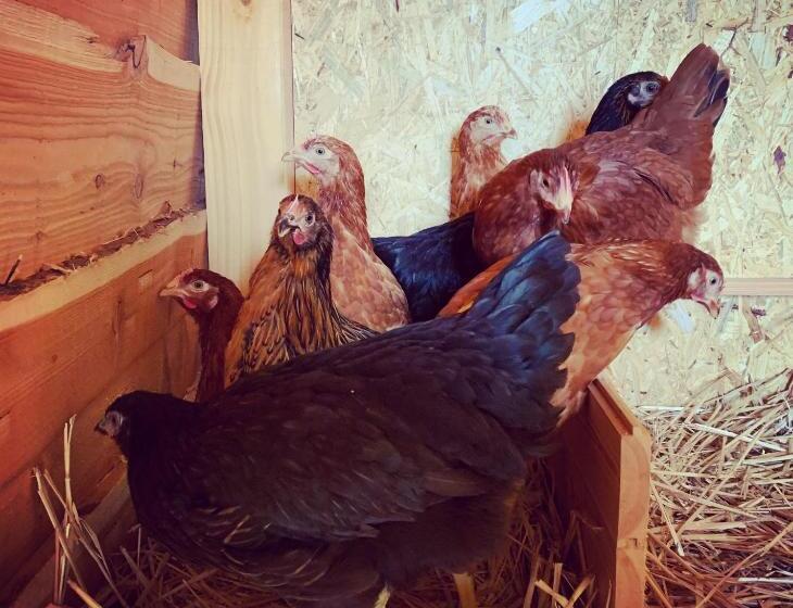 مبيت وإفطار La Belle étable