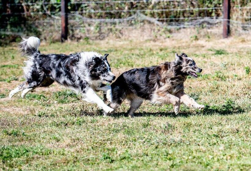 مبيت وإفطار La Belle étable