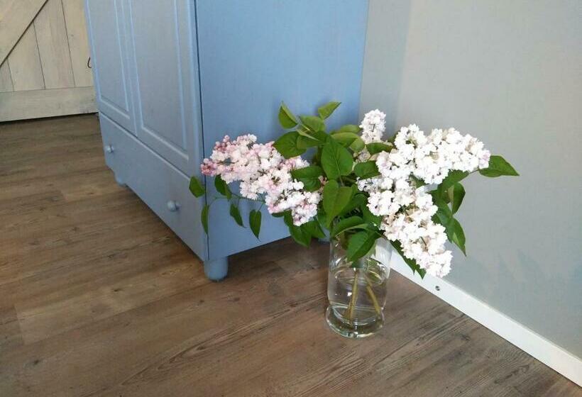 住宿加早餐  Langs De Maas