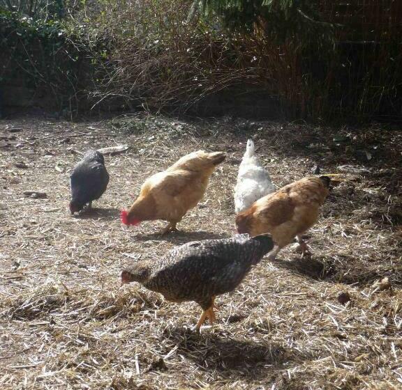 צימר Le Point Du Jour