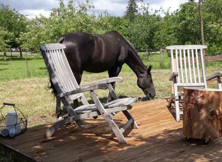 민박 Par Hasard Ou Pas