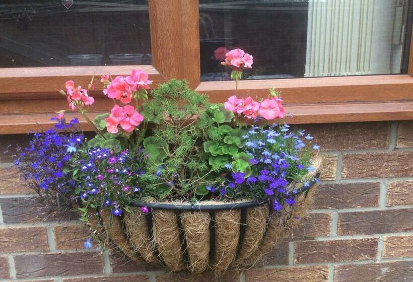 צימר Sunnyside Annexe