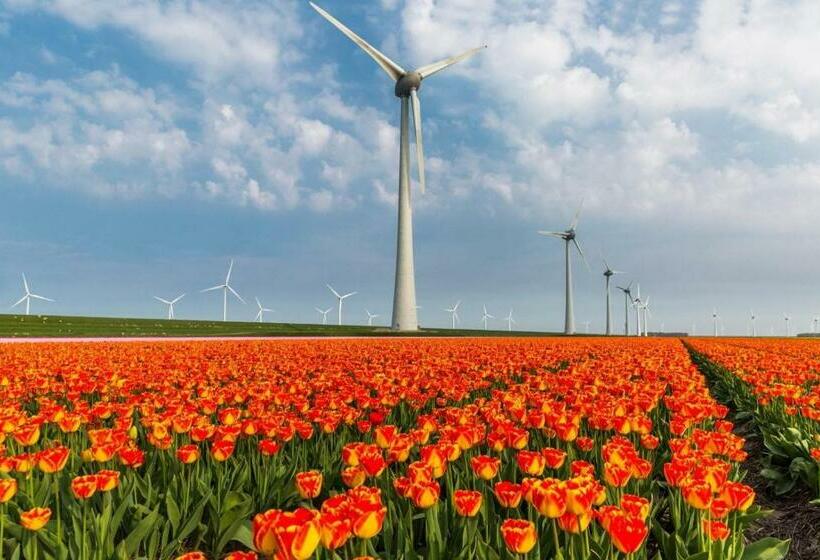 Bed & Breakfast De Roos