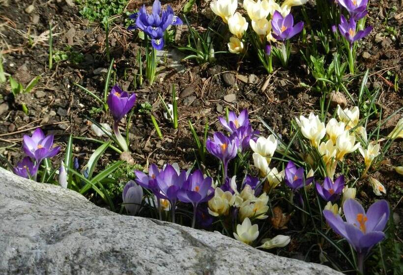 Frühstückspension Eichberger