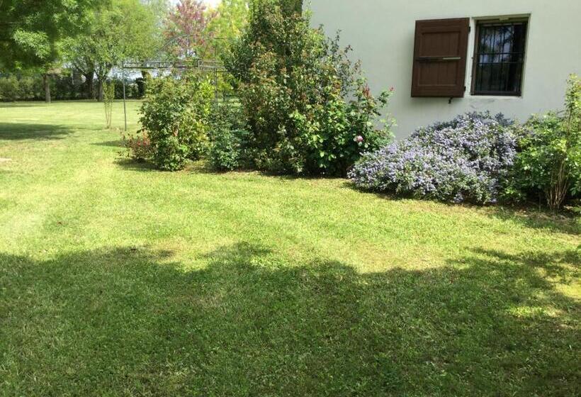 בית מלון כפרי Agriturismo La Torre