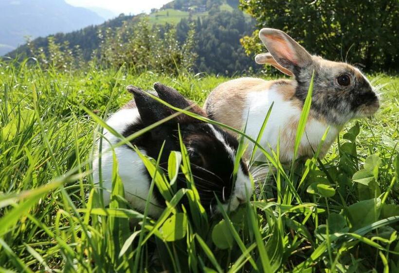 Szálloda Malsethhof