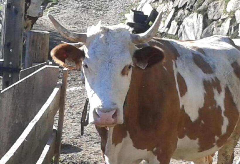 هتل Obertimmeltaler