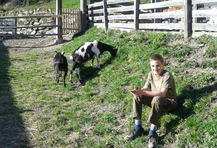 هتل Obertimmeltaler