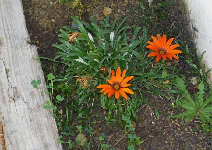 פנסיון Alojamiento Mª Carmen