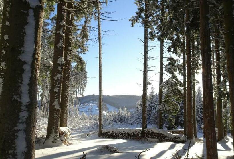 بنسيون Bauernhof Hoenigshof