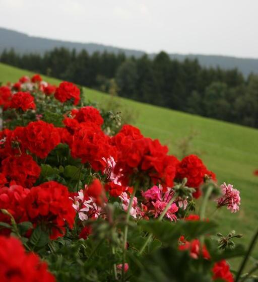 بنسيون Bauernhof Hoenigshof