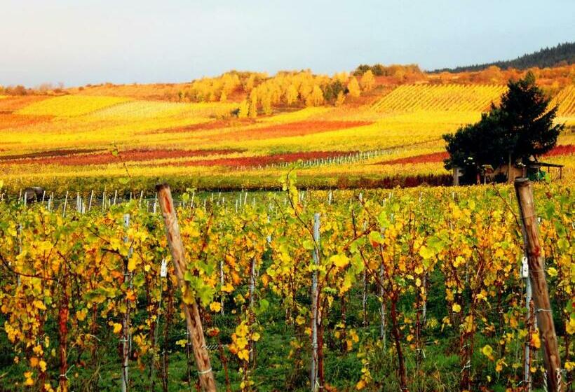 膳宿费 Ferienweingut Rainer Beitzel