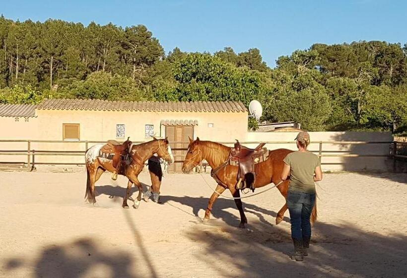 ペンション Finca Caballo Blanco