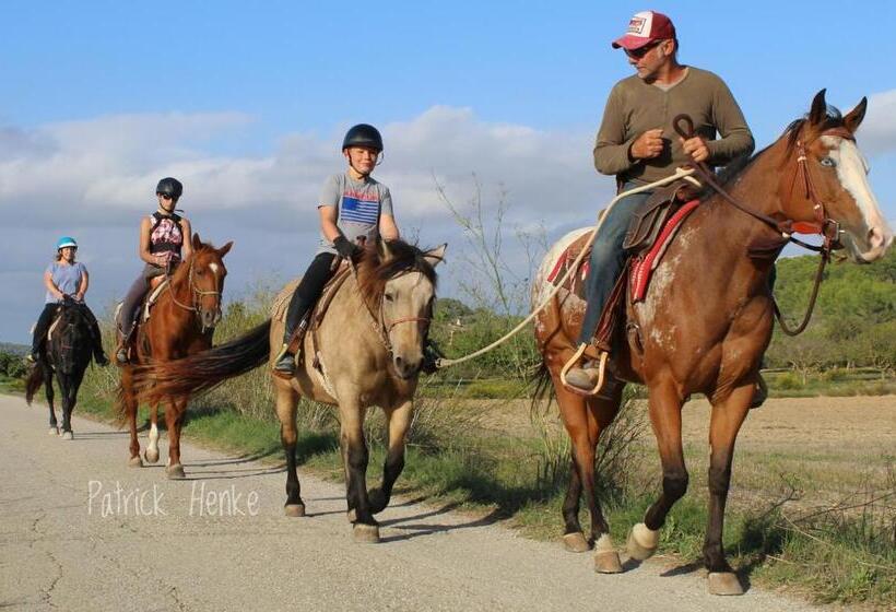 ペンション Finca Caballo Blanco