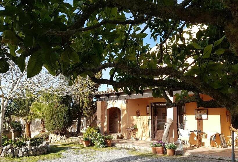 ペンション Finca Caballo Blanco